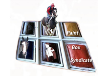 Angrove Paintbox Syndicate