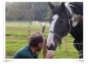 Testimonials from Angrove Stud customers