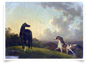 Coloured Horse Art Gallery